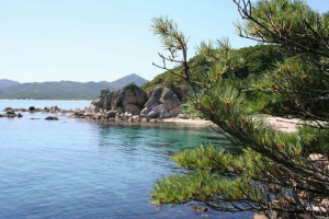 Priroda dalekog istoka Priroda dalekog istoka